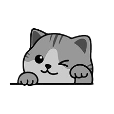 Cat Illustration