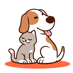 Dog and Cat