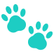Paw Prints