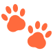 Paw Prints